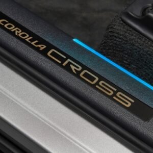 Platina En Panel De Puerta Iluminada