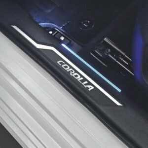 Platina en Panel de Puerta Iluminada