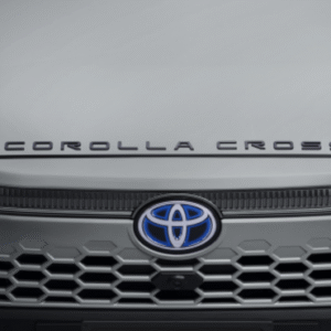 Emblema del capó (negro)