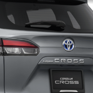 GUARNICIÓN DE PUERTA TRASERA (CROMADA)