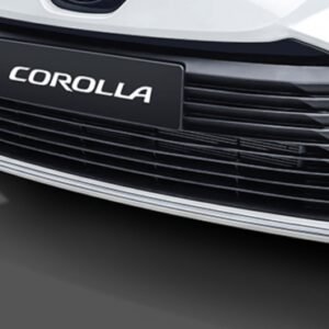 Aplique Cromado del Parachoque Delantero